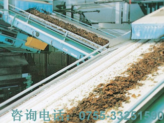 Tobacco conveyor line