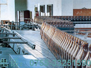 Bottle conveying line